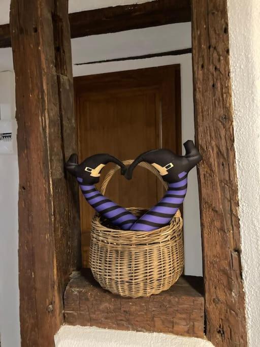 Appartement La Sorciere In A Typical Alsatian House à Rouffach Extérieur photo